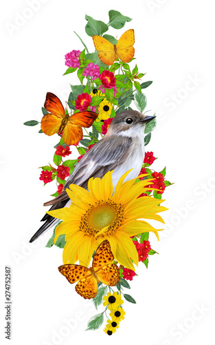 bird sits on a branch of bright red flowers  yellow sunflowers  green leaves  beautiful butterflies. Isolated on white background. Flower composition.