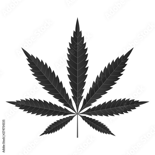 Cannabis leaf icon. Black silhouette indica sativa isolated white background. Herbal medicine herb plant. Natural weed hemp. Addiction smoke drug Illegal narcotic marijuana design. Vector illustration