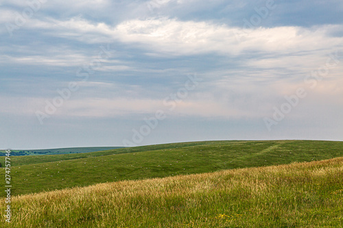 Looking out over a vast South Downs landscape with sheep grazing on a distant hillside