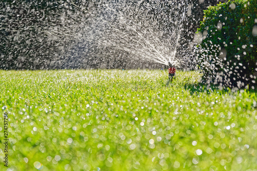 Turf irrigation by automatic pop-up sprinkler photo