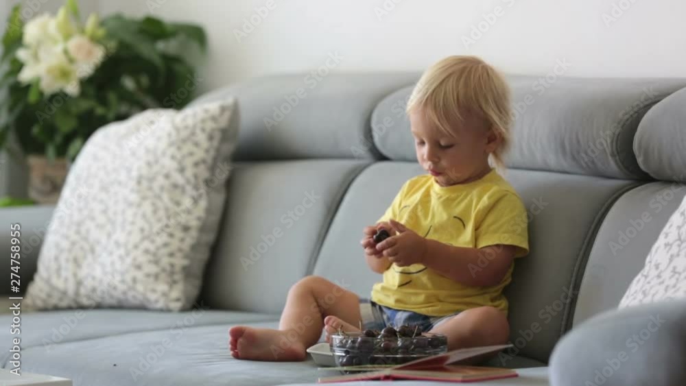 Sweet toddler boy, sitting on a couch, eating cherries and looking at picture book, enjoying healthy meal Sweet toddler boy, sitting on a couch, eating cherries and looking at picture book, enjoying healthy meal