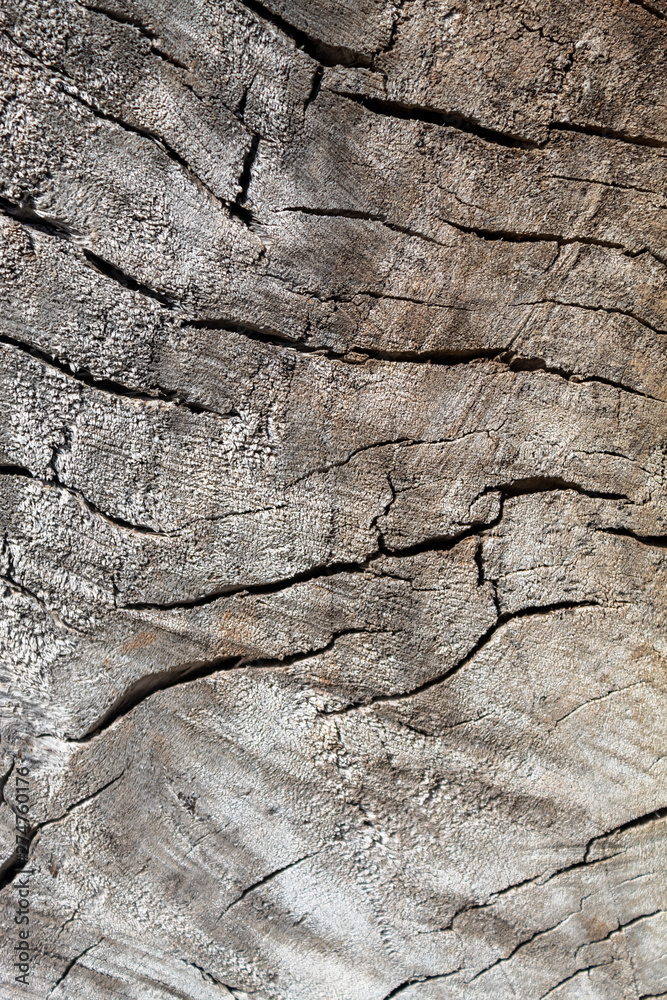 Old Weathered Cracked Embossed Wood Texture Old Weathered Cracked Embossed Wood Texture