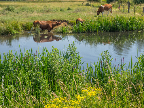 die kleine Stadt Ulft in den Niederlande photo