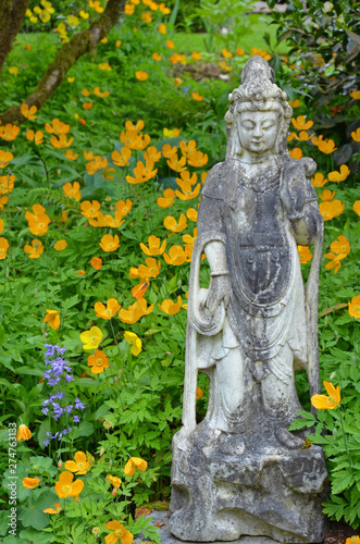 Asian statue in poppy flower garden