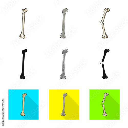 Vector illustration of medicine and clinic symbol. Collection of medicine and medical stock vector illustration.