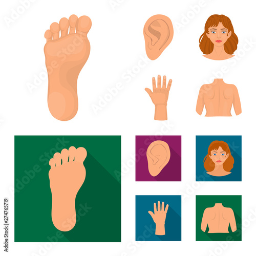 Isolated object of body and part symbol. Set of body and anatomy stock vector illustration.