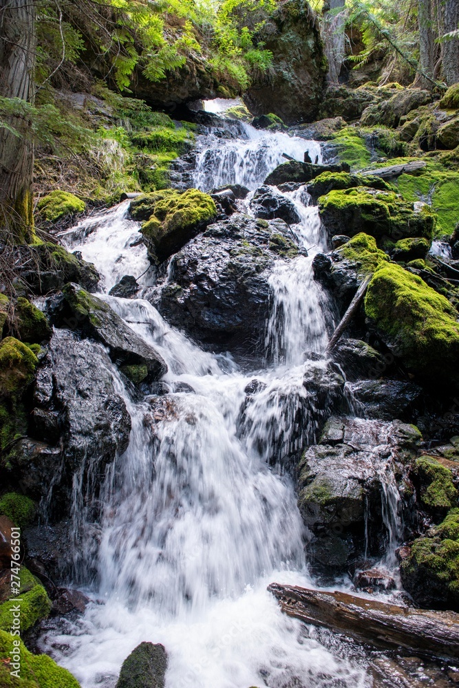 Fototapeta premium CCA Creek