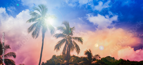 Silhouette of coconut palm trees and sun flare on colorful background. 
