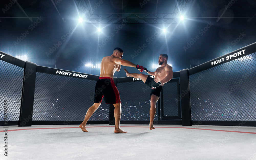 MMA fighters on ring. Fighting Championship. MMA fighters on ring. Fighting Championship.
