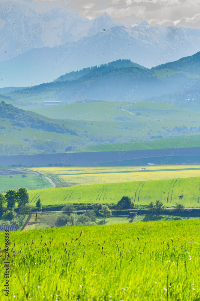 Obraz premium landscape with green fields and mountains