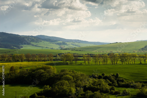 landscape with green field and blue sky