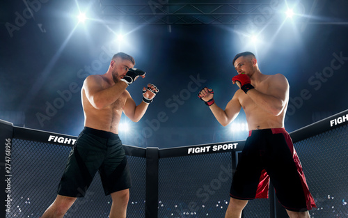Obraz na plátně MMA fighters on ring. Fighting Championship.