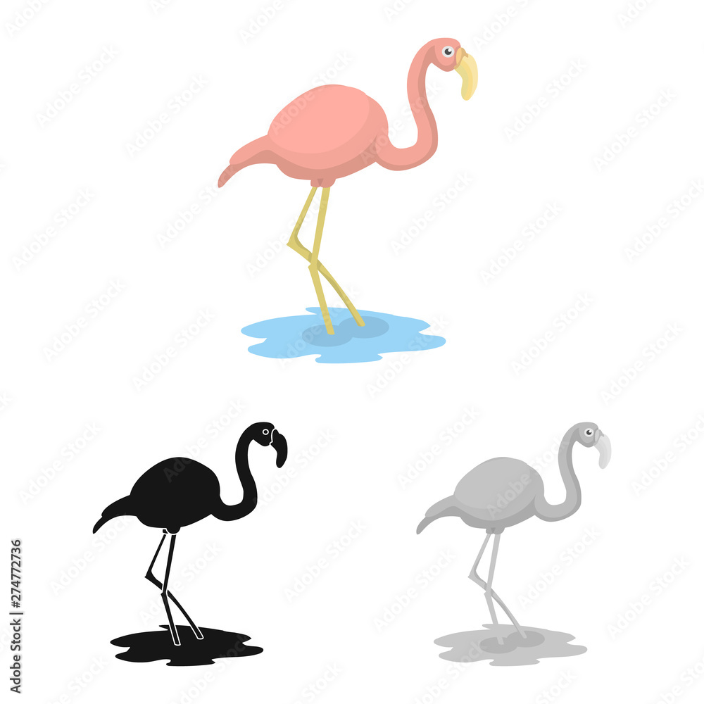 Obraz premium Vector illustration of flamingo and pink symbol. Set of flamingo and funny stock symbol for web.