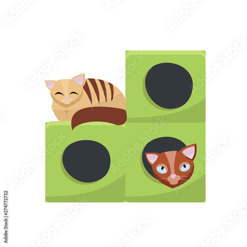 Cute funny long haired, beige cat playing on cat house. Two cats sitting in cat post hole. Flat cartoon style vector character illustration on white background.
