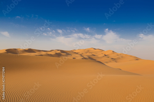 UAE. Desert landscape