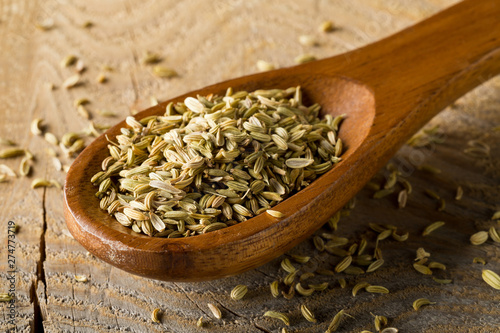 Dried fennel seeds in wooden spoon on brown wood board background