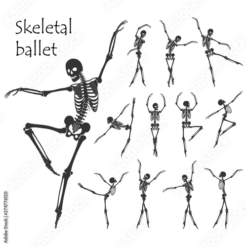 Ballet. Set of dancing black skeletons silhouettes isolated on white background. Vector illustration