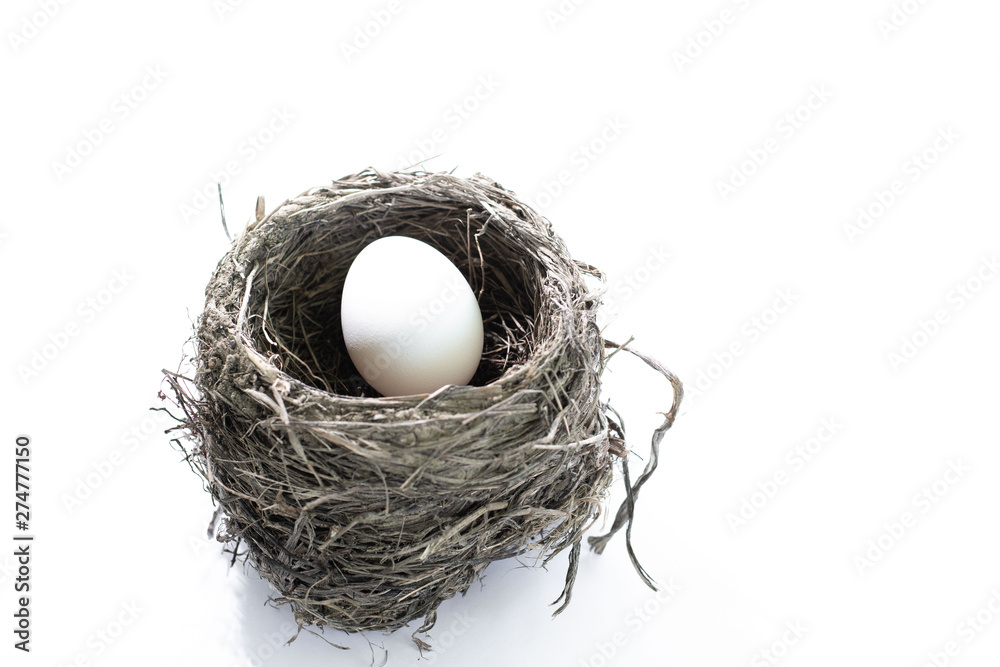White Eggs in Brown Bird Nest Isolated on Background White Eggs in Brown Bird Nest Isolated on Background
