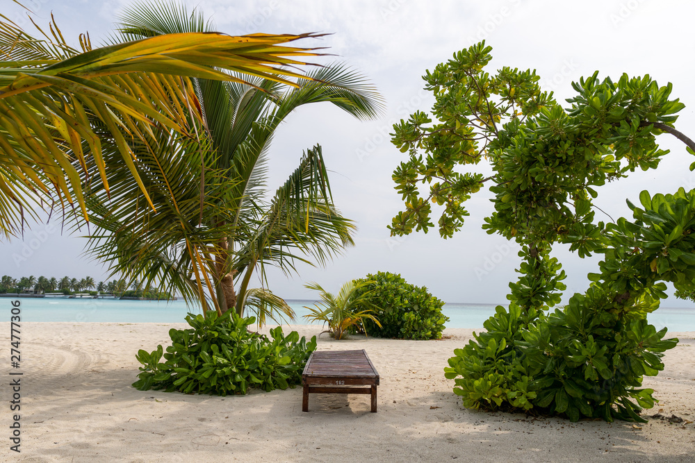 Fototapeta premium Chaise lounge with ocean landscape and trees