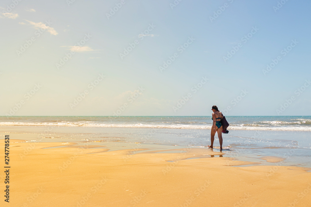 landscape beach of Morro Branco, Ceará - Brazil