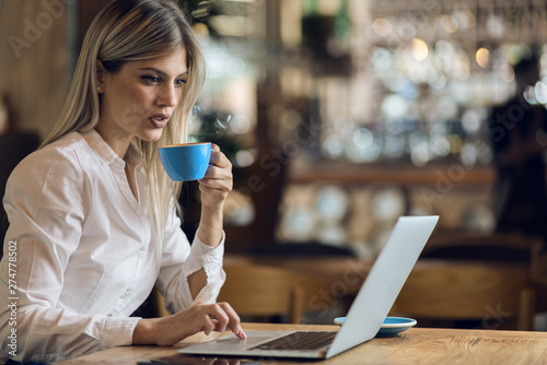 Young businesswoman having a coffee break in a cafe and using computer.