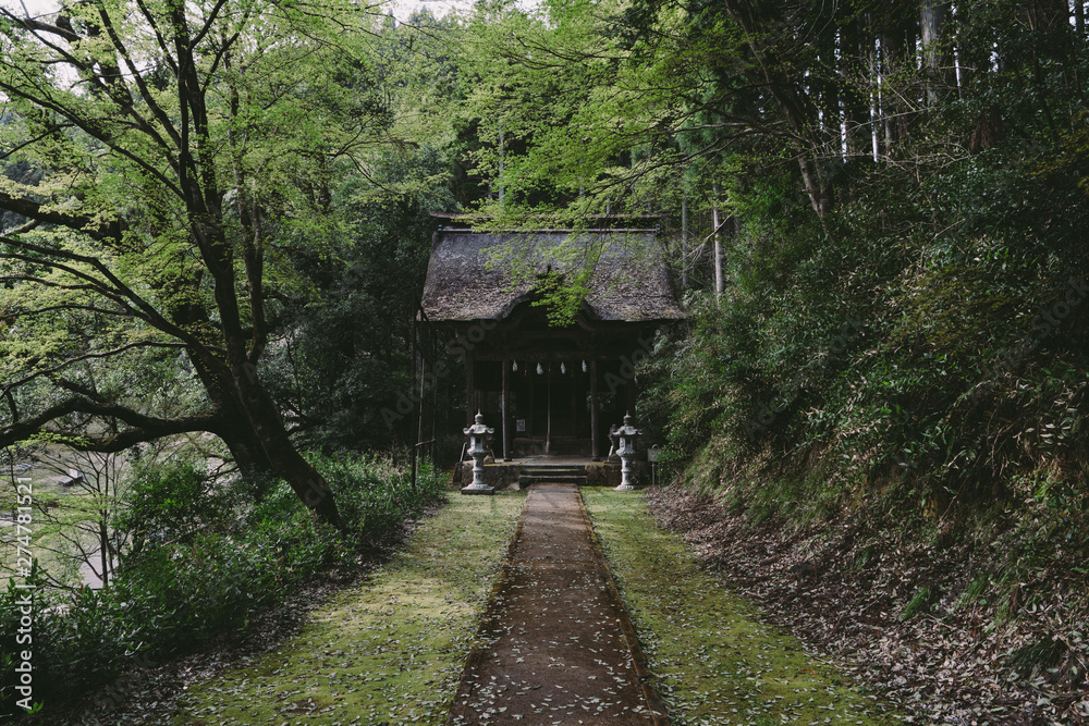 JAPAN IMAGES JAPAN IMAGES