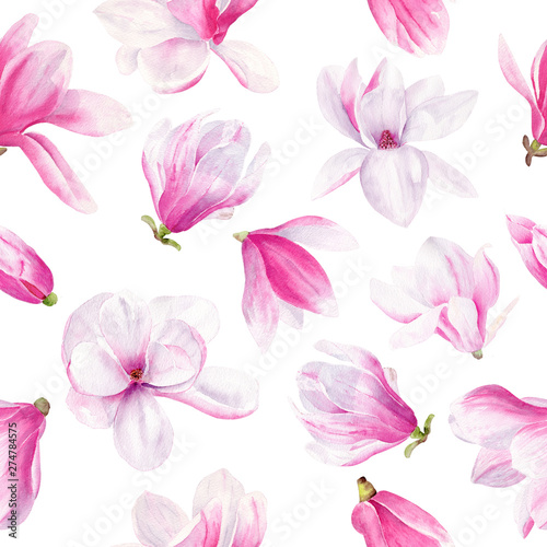 Magnolia flower hand drawn watercolor seamless pattern