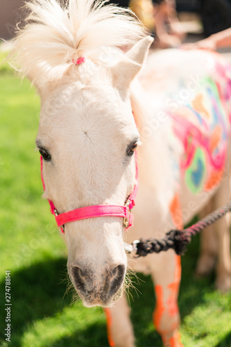 Unicorn Birthday Party