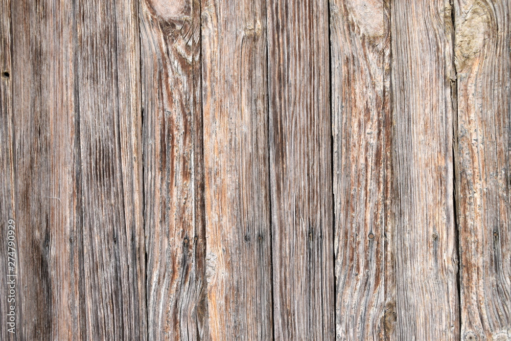 Wood texture of tree background nature