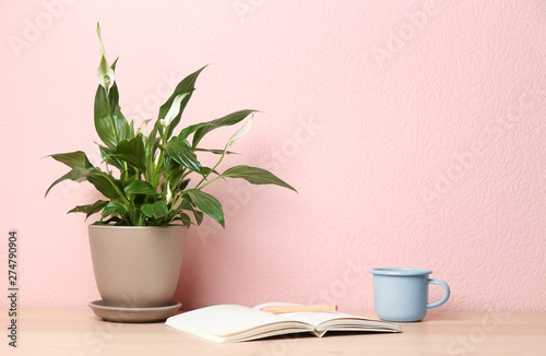 Potted peace lily plant  cup and notebook on wooden table near color wall. Space for text