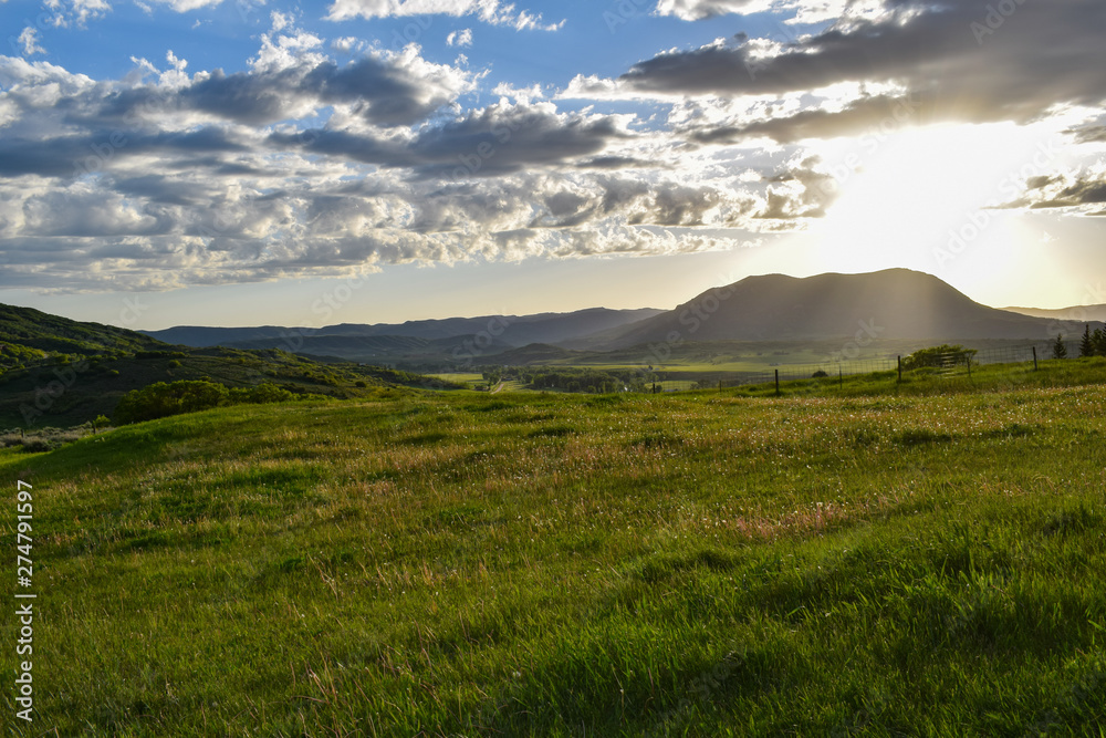 Fototapeta premium Sun lit field with white dandalions and Sleeping Giant in the background of valley.