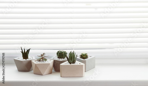 Window with blinds and potted plants on sill  space for text