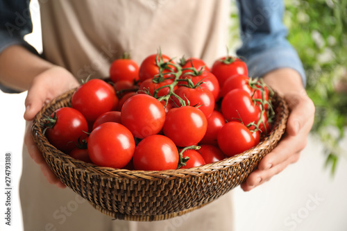 Woman holding wicker bowl with ripe cherry tomatoes, closeup