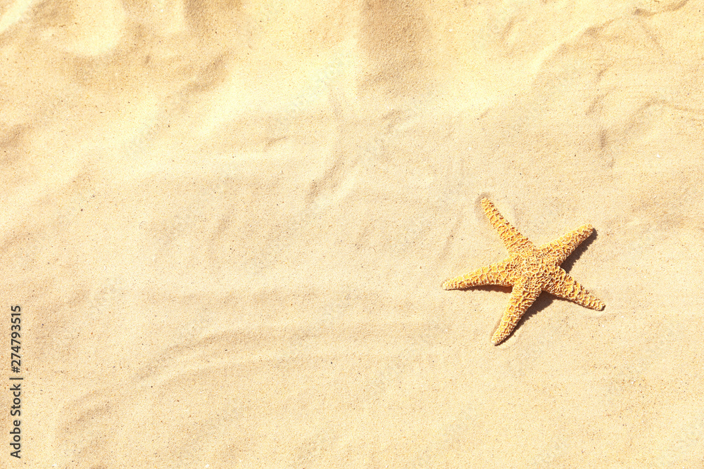 Starfish at sandy beach on sunny day, top view. Space for text Starfish at sandy beach on sunny day, top view. Space for text