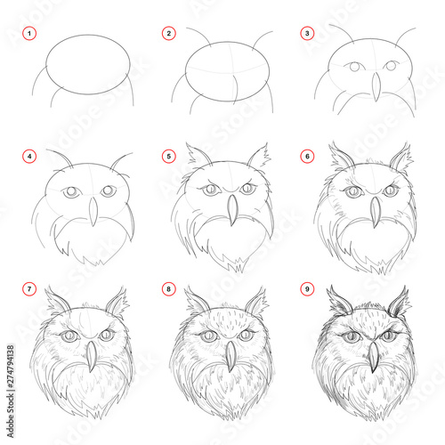 Creation step by step pencil drawing. Page shows how learn to draw sketch of imaginary owls head. Print for artists school textbook. Developing skills for design. Hand-drawn vector image.