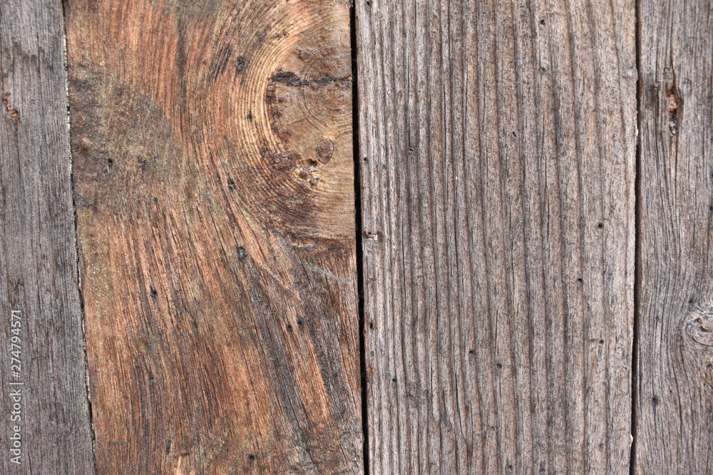 Wood texture of tree nature Wood texture of tree nature
