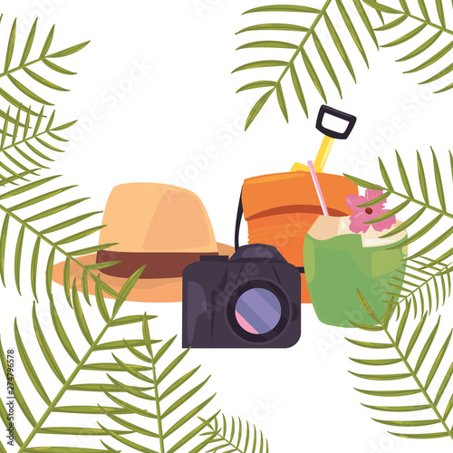 photography camera hat bucket coconut exotic branch summer