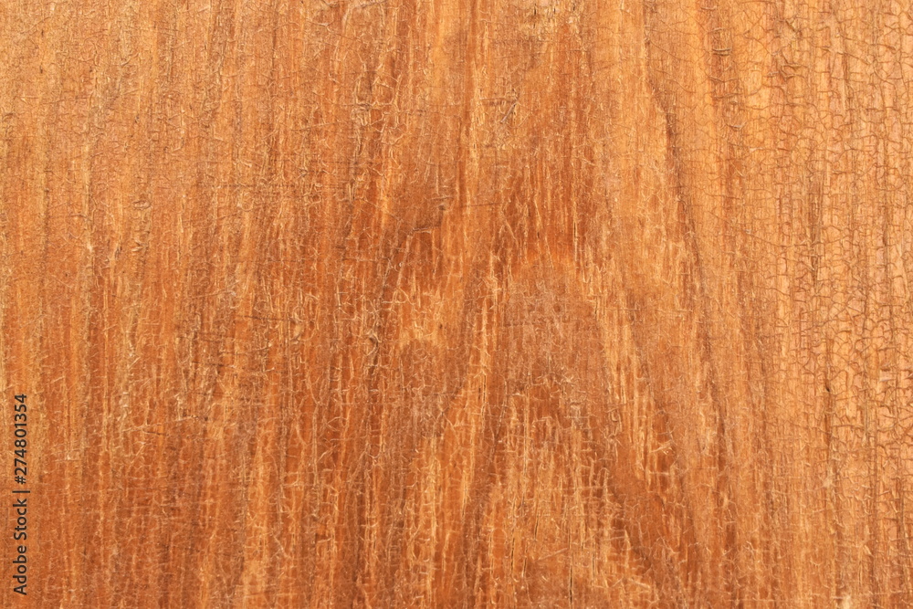 Texture tree wood background nature Texture tree wood background nature
