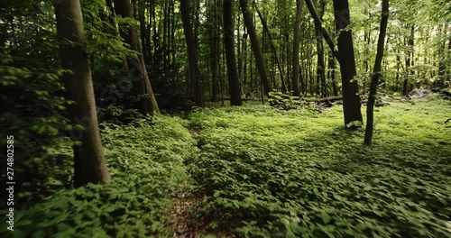 Slow motion POV shot of a person walking through a forest or a park with green leaves and sun shining through the foliage.