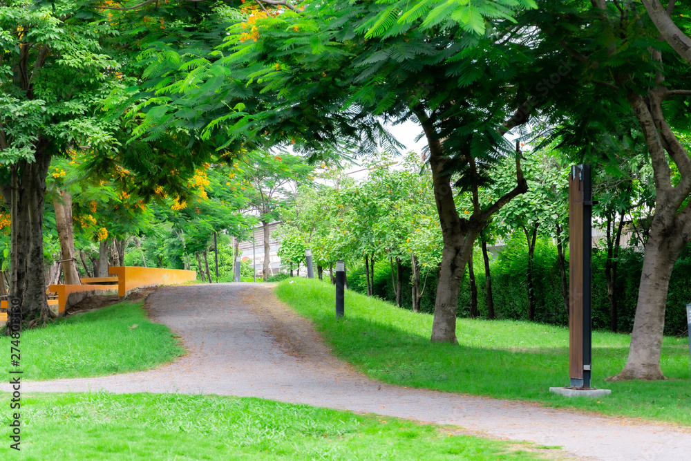 Fototapeta premium Walk way in the park nature background