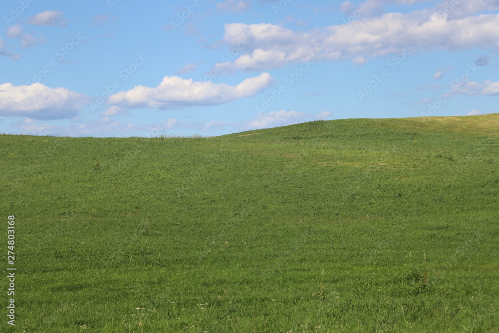 green meadow on the hill against the sky and clouds