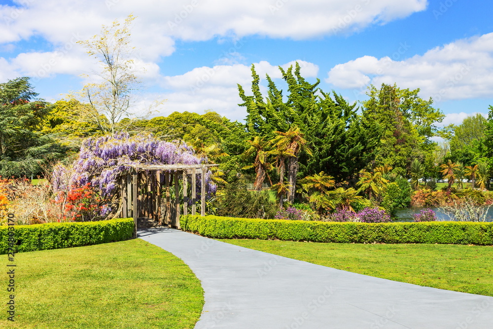 Fototapeta premium Landscape view of Kuirau Park, Rotorua, New Zealand's only geothermal public park.