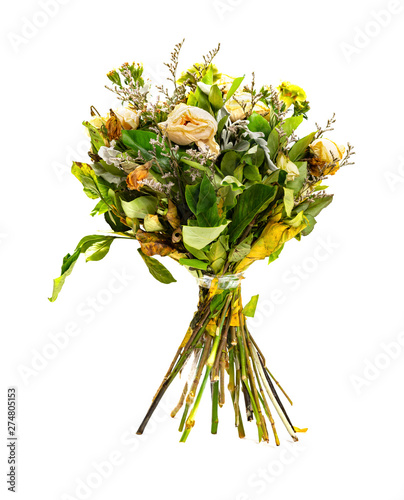bunch of faded and dry flowers on white background