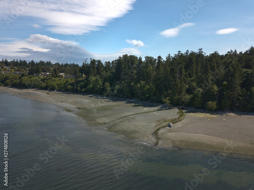 Forest beach with clouds