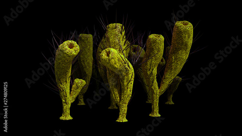 group of Pirania, sponge species from the Middle Cambrian Burgess Shale, isolated on black background (3d paleoart illustration) photo