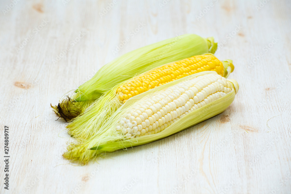 White and Yellow Corn on the white background White and Yellow Corn on the white background