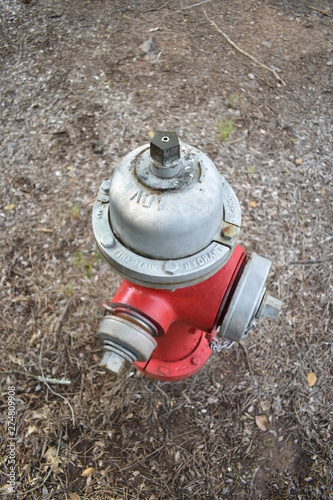 red fire hydrant in the park