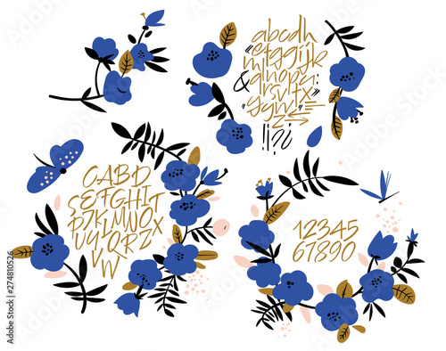 Handwritten font. Script. Latin calligraphic set