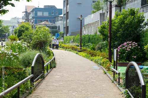 6月の目黒川緑道 photo