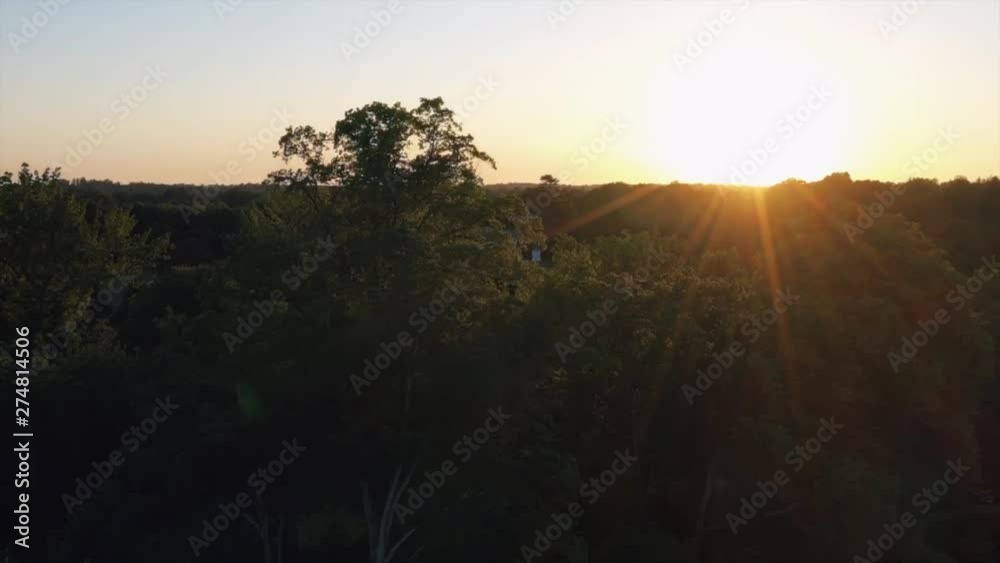 slow drone descent from above the trees showing a golden sunset hiding behind the dark trees slow drone descent from above the trees showing a golden sunset hiding behind the dark trees